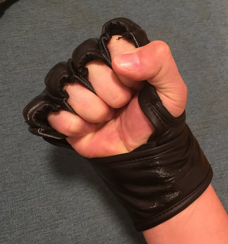 MMA Grappling Leather Gloves